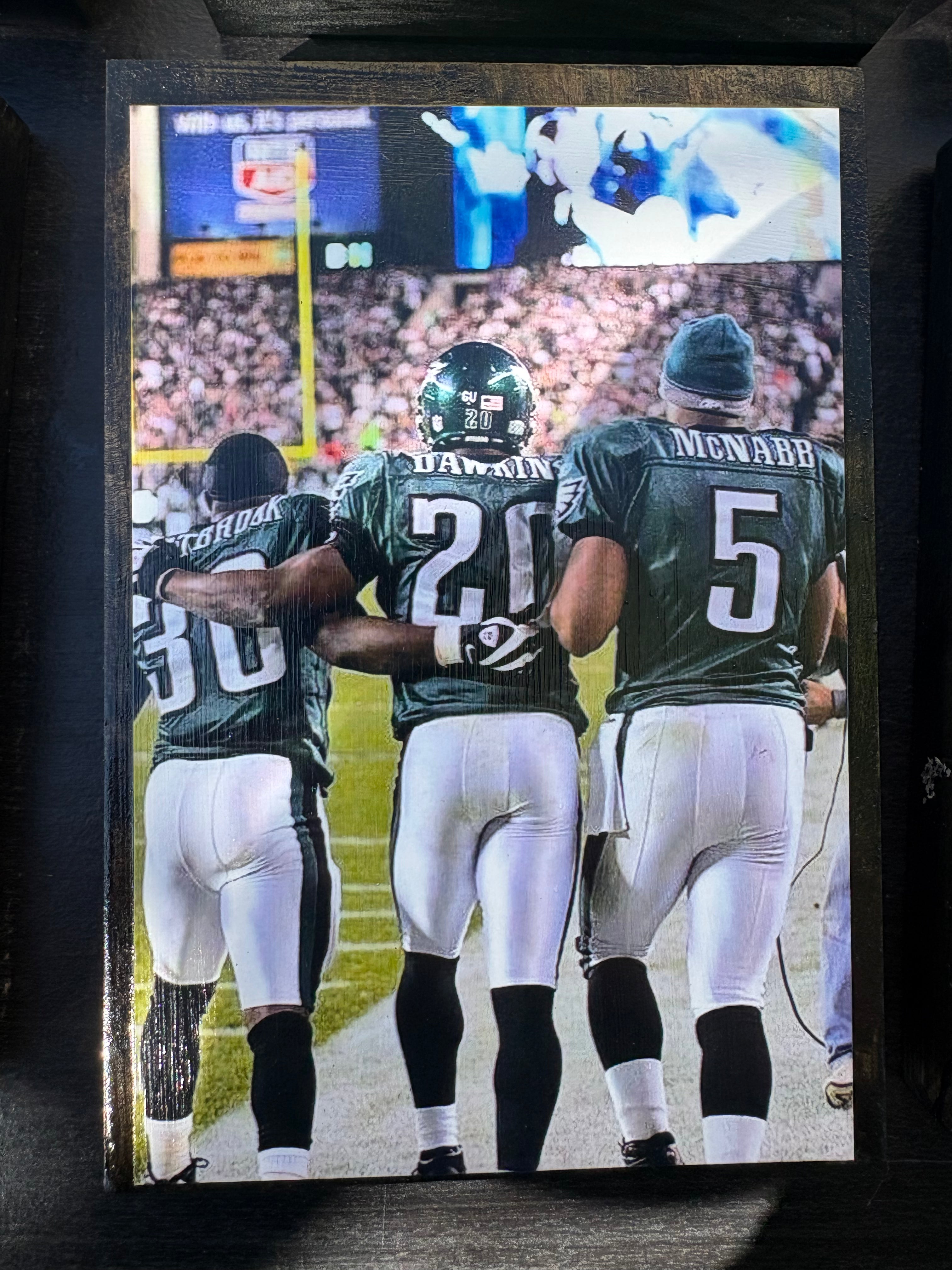 McNabb-Westbrook-Dawkins plaque
