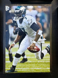 Mike Vick plaque